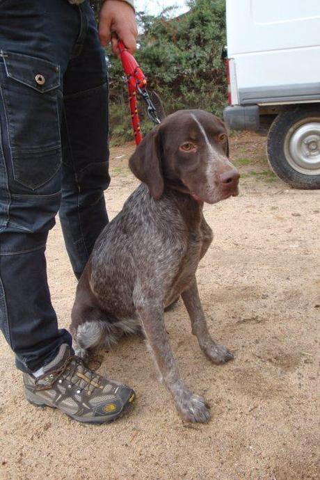 Linda . 10 meses pero ya no le sirve