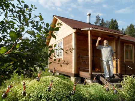 El Mundo de las Hormigas en Alta Definición