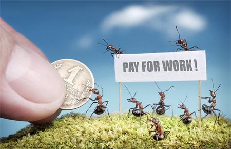 El Mundo de las Hormigas en Alta Definición