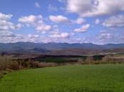 Vinos Languedoc-Roussillon: futuro