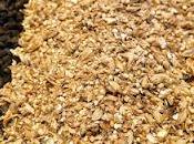 ingredientes cerveza