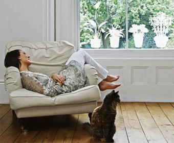 Decorar las ventanas con vinilos