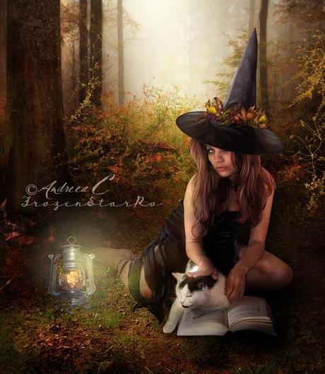 80 creativas manipulaciones digitales por Andreea Cernestean para la inspiración