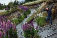 Patagonia, Chile, nuestra vuelta al mundo, vuelta al mundo, round the world, información viajes, consejos, fotos, guía, diario, excursiones