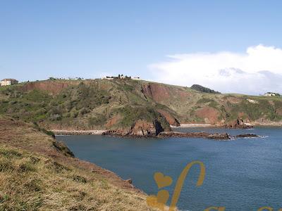 ¡Asturies, que guapina yes!, y mas con sidra y queso