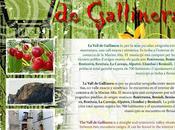 Vall Gallinera. Visita Castell d’Alcalà Gallinera