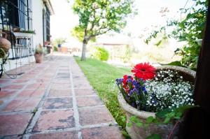 Detalle floral en el Rancho donde se celebró la boda.