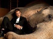 Como agua para elefantes