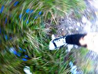 De Bilbao a Noja, y la alegría de los lunes en buena compañía. (primer parte)