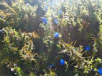 De Bilbao a Noja, y la alegría de los lunes en buena compañía. (primer parte)