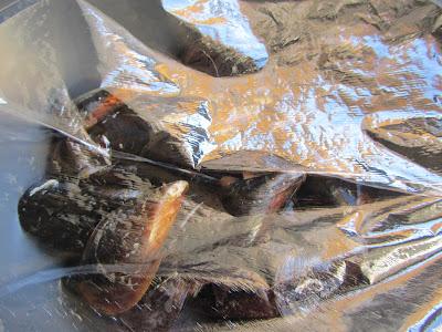 Propietas de pescado en salsa de mejillones