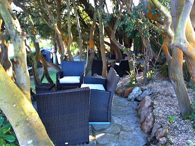 Atardecer, despedida y batidos para todos! (segunda parte)