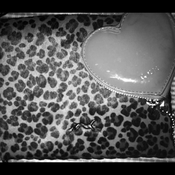 snapshots of the week