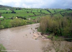 Nuevo recodo del Nalón en Candamo
