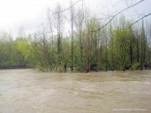 Isla rodeada por el Nalón en Candamo