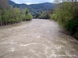 Nalón desde puente ya en Candamo