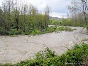 Recodo del Nalón al salir de Grado