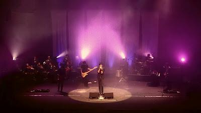 [Vídeo Telúrico] Second - Rincón Exquisito (15)