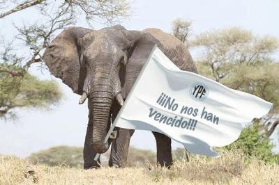 Bromas en Facebook al rey Juan Carlos por YPF y el elefante [+ Fotos hilarantes]