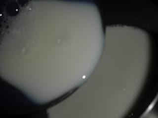 Pudin de plátano y fresas