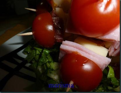 erizo de pinchos6 copia