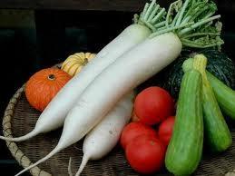 p142 Alimentos prebióticos y su acción beneficiosa para la salud