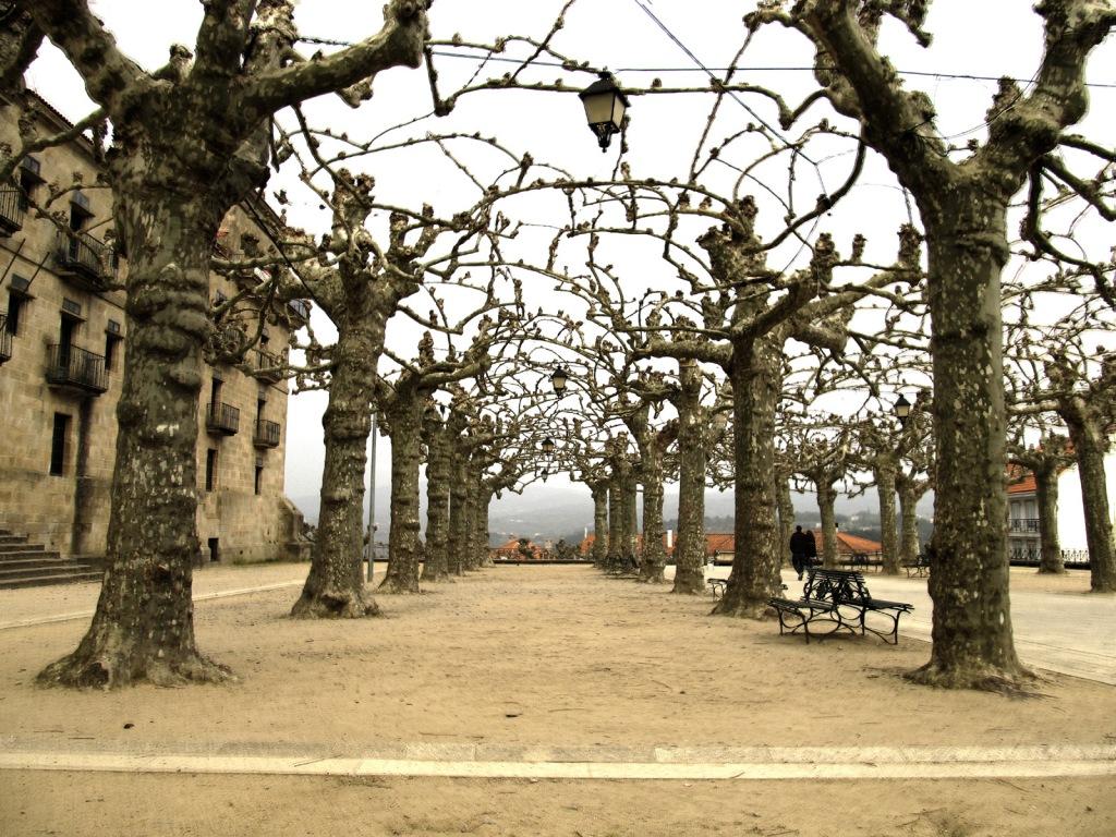 Paseo invernal por la Alameda - reinterpretado en HDR a partir de dos instantáneas
