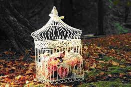 Tú Preguntas!! Dónde encontrar uná jaula barata para decorarla con flores