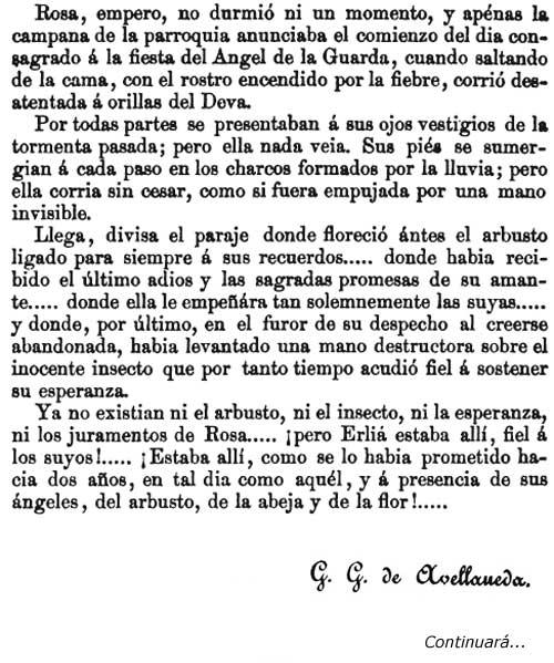 LA FLOR DEL ÁNGEL (III parte)