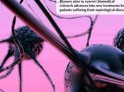 Cambio estrategia Bionure permitirá llegar fase clínica antes previsto