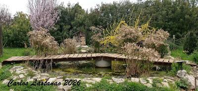 Ya llega la primavera