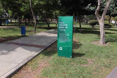 La ciudad como archivo activo: Coordenadas de Mujeres La ciudad como archivo activo: Coordenadas de Mujeres