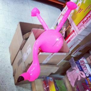 {Viernes} Repasando la semana…