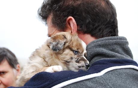 Una persona con parálisis cerebral abraza a un cachorro 