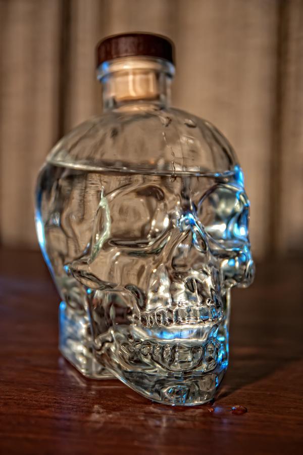 Increíbles Diseños de Cráneos y Calaveras