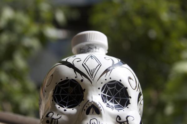 Increíbles Diseños de Cráneos y Calaveras