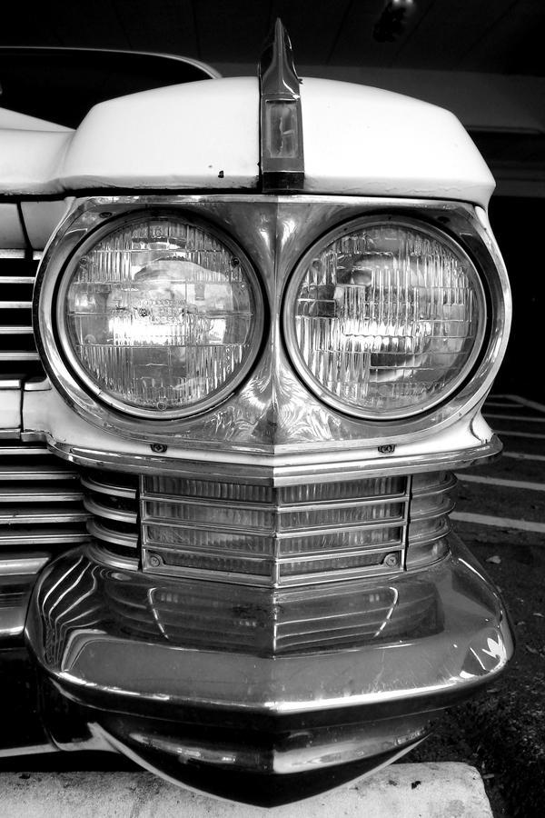 Increíbles Diseños de Cráneos y Calaveras