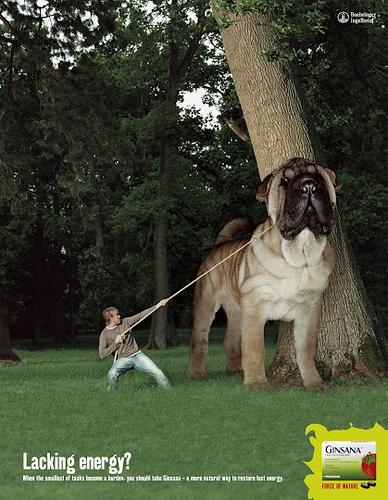 anuncios creativos y controvertidos por diseñadores de todo el Mundo (7)