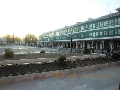 Campo de Calatrava - Flores Manchegas