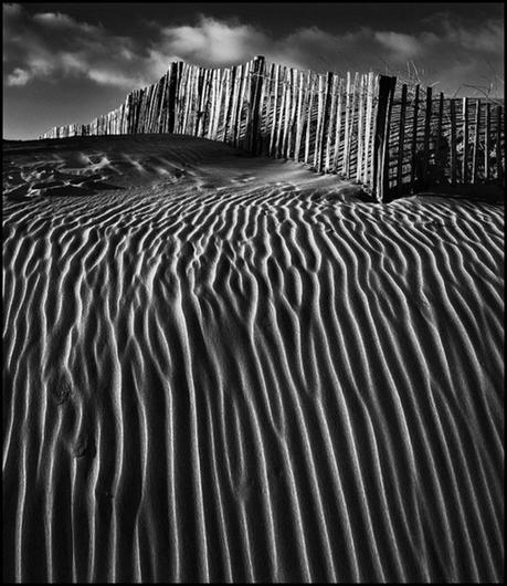 Europa republicana y estoica