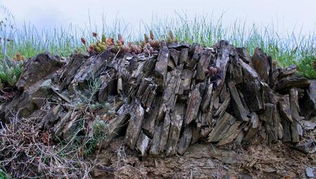 Pizarra-licorella en Priorat-Gratallops