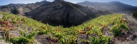 La Serra Alta vista desde las viñas de Cims de Porrera. Más allá Gratallops
