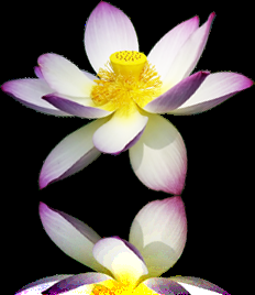 Música contra la Demencia. El Milagro de Henry (Pásalo)