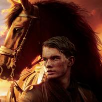 War horse (Caballo de batalla) (2011)