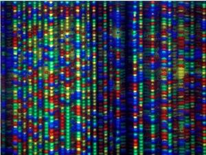 Científicos anuncia la creación de ADN sintético