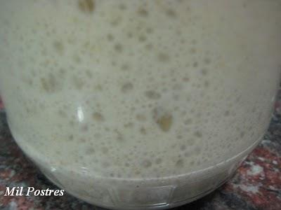 Desafío diciembre Daring Bakers.  Pan con fermento natural casero