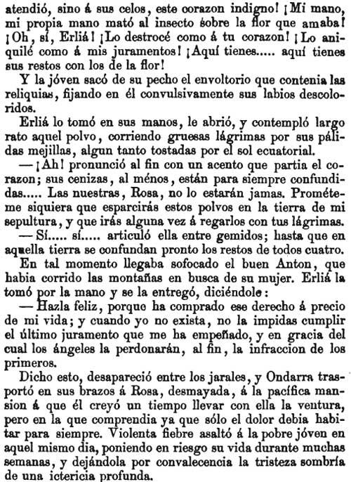LA FLOR DEL ÁNGEL (IV parte)