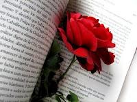 Un libro, una rosa y un dragón