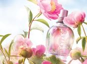 L’Occitane Pivoine Délicate