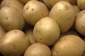 p245 La patata: un alimento nutritivo, económico y versátil en la cocina